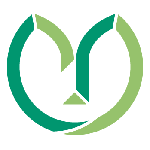 山口大学