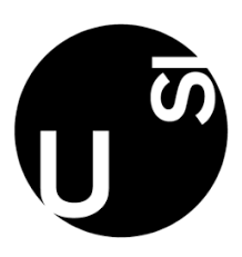 提契诺大学