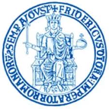 那不勒斯费德里科二世大学